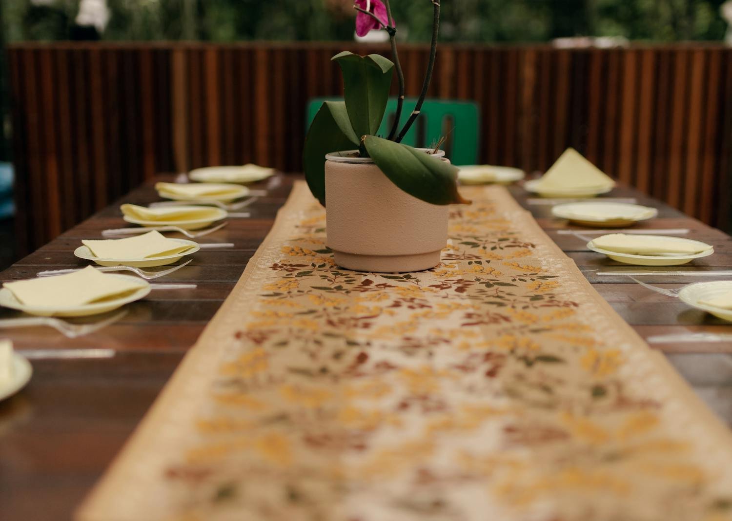 pexels-alexander-mass-748453803-33038517