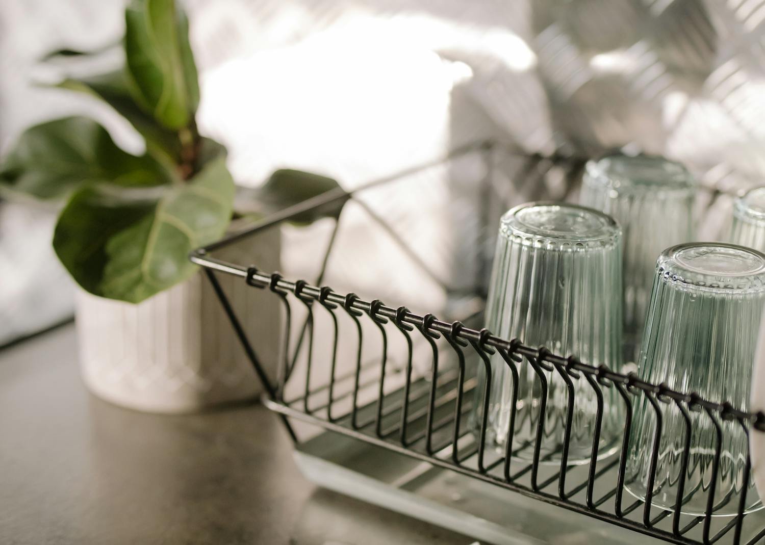 pexels-cottonbro-4108723